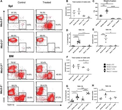 Absence of Nkx2-3 induces ectopic lymphatic endothelial differentiation associated with impaired extramedullary stress hematopoiesis in the spleen